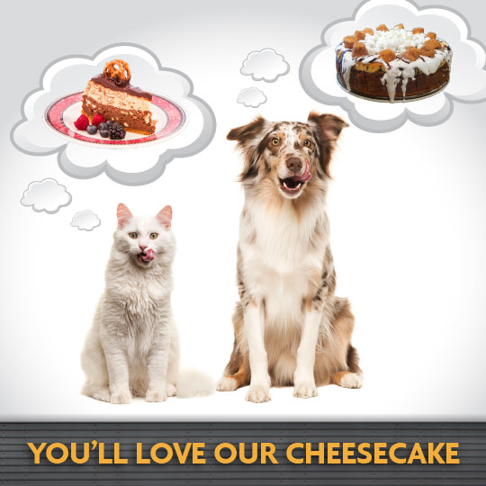 You'll love our cheesecake